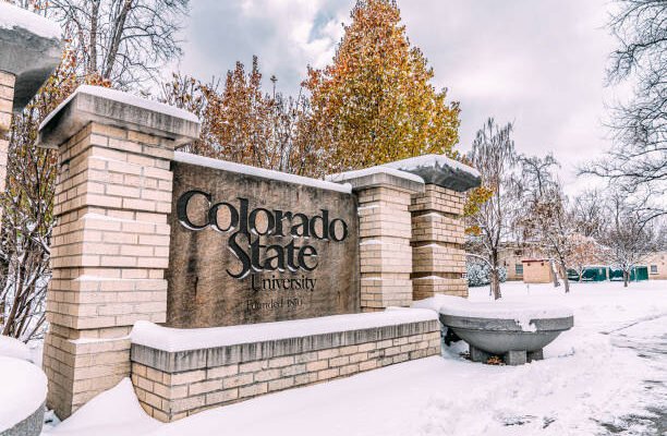 Admission Requirements for Colorado State University